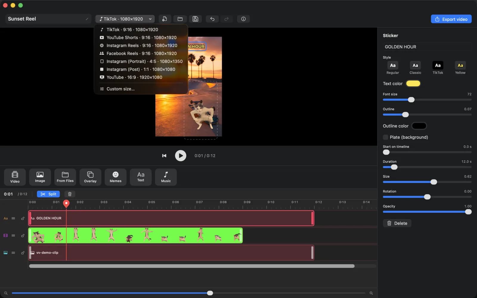 Canvas format menu listing TikTok, YouTube Shorts, Instagram Reels, Facebook Reels, Instagram portrait and post, YouTube and a custom size